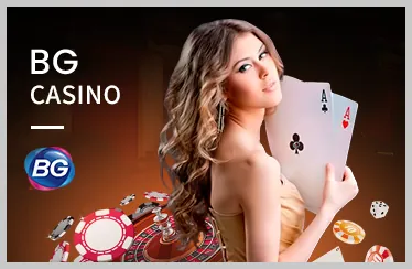 Trận đấu đá gà trực tiếp đầy kịch tính tại xin88 casino xin88